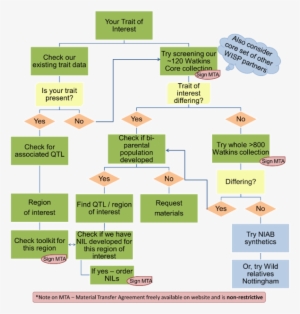 Specific Goals Of The Project #2463105