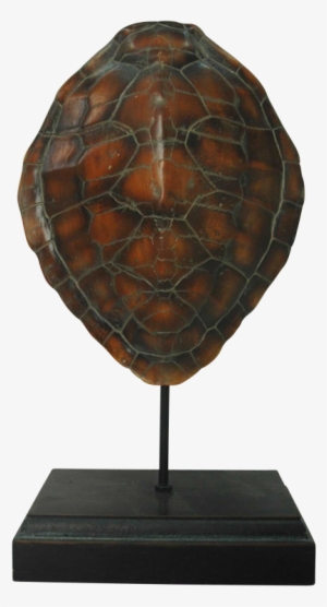 Decorative Sea Turtle Shell On Stand - Turtle Shell Display #2463695