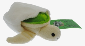 Zoom Green Turtle Hatchling Plush Toy With Attached - Turtle Plush Png #2463794