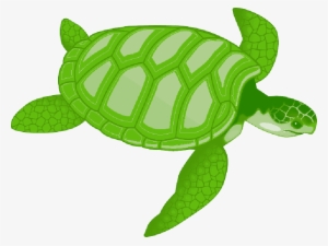 Mb Image/png - Sea Turtle Clip Art #2463881
