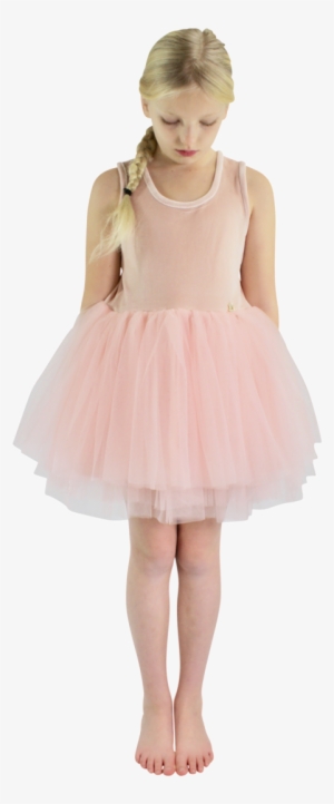 Dolly By Le Petit Tom Velvet Essential Tutu Dress Ballet - Dress #2464376