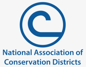 Hattie Formative Assessment Effect Size #2466712