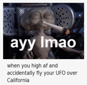 Af, Ayy Lmao, And Lmao - Taylor Gang Or Die Weed #2469732