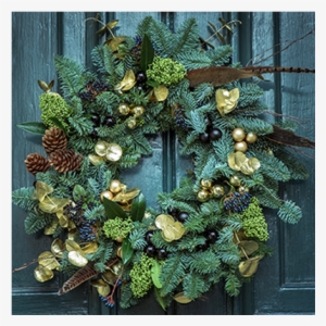 Posted On December 14, 2017 Posted By - Happy Friday Bohemian #2470793