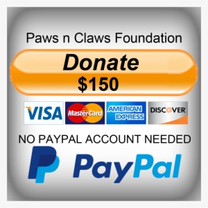 Sandi Paws Pet & People Parade - Card Payments Accepted Contactless #2472523