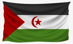 Western Sahara Flag #2472974