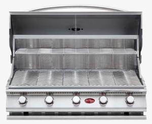 Gourmet Series 5-burner Built-in Stainless Steel Propane #2473046