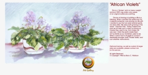 Malva #2473259