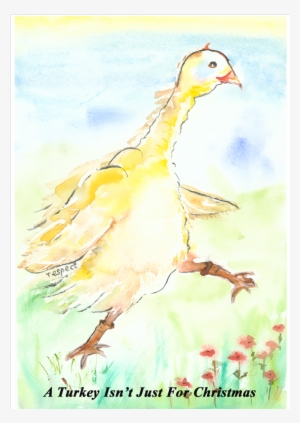 Crackers-christmas - Flightless Bird #2474499