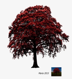 Picsart Moon Light Effacts Picsart New Alone Boy Editing #2475055