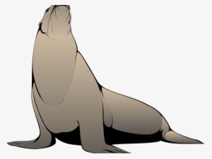 Seal Clipart Realistic - Harp Seal Clip Art #2475710