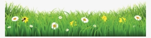 Grass-flower - Flower & Grass Pic Png #2476149