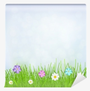Background With Sky, Grass And Flowers Wall Mural • - Spanish Daisy #2476648