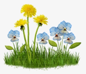 Kathleen Reynolds Grass Flowers Leafs - Clipart Fleurs Fond Transparent #2476753