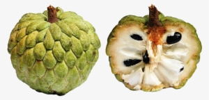 Cherimoya Tropical Exotic Fruits - Sugar Apple #2478659