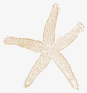 Beach Starfish For Wedding Clip Art At Clker - Fish Clip Art #2479833