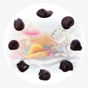 The Glory And Significance Of Saligramas - Population Coding Primary Motor Cortex #2480788