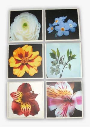 Selectables S0049 - Artificial Flower #2483404