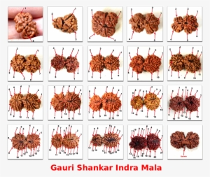 10% Off On Selected Items - Paprika #2483776