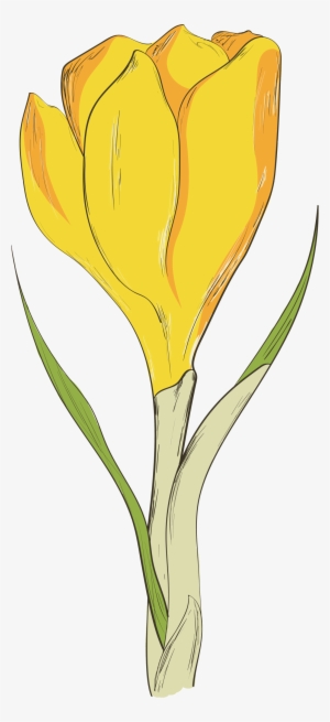 Yellow Flower Transparent Flower To Be Placed - Flower #2484073