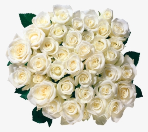 Flowers Clipart Birthday Roses, Order Flowers, Send - White Roses Border Png #2484571