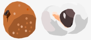 This Free Icons Png Design Of Longan Fruit #2484866