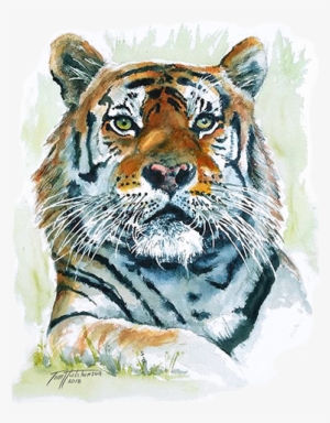 In Order To Offer A Wider Selection Of Merchandise, - Siberian Tiger #2485320