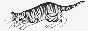 Warrior Drawing Tiger - Warrior Cats Wildfur #2485410