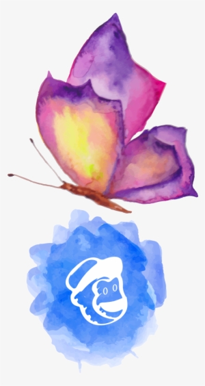 The Average Open Rate For Email Campaigns In The Uk #2485552