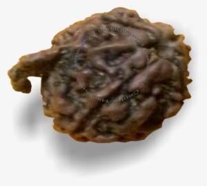 Ganpati Rudraksh - Chocolate #2485859 Ganpati Rudraksh - Chocolate #2485859