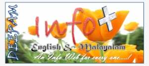 New7wonders Of The World #2486292