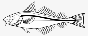 Download Black And White Clipart Fish - Cod Fish Black And White #2486622