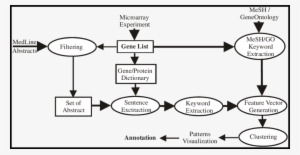 Experimental Design Of Gene Clustering With Sentences-level, - Diagram #2486941