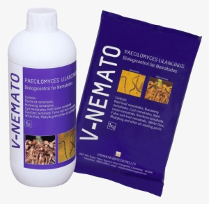 V-nemato - Carpenter Ant #2486963