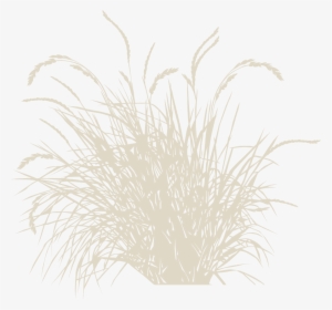 4 Revegetation Plan Example - Vector #2486993