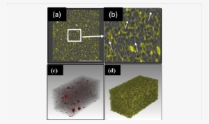 X-ray Tomography Showing 2d And 3d Images Of Gct Scaffold - Floor Plan #2487076