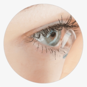 Contact Lens Fitting And Payment Options - Lentes Opticos De Contacto #2487101