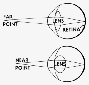 Accommodation Eye #2487117