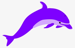 Image - Dolphin National Aquatic Animal Of India #2488265