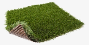 Our Best Selling Grass By Far, A Great Grass For Any - Green #2490355
