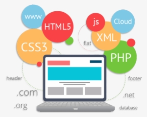 Ibase Solutions Has An Expert Web Development Team - Web Development Roadmap For Beginners #2491902