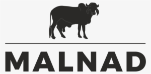 Home - Indian Cow Graphics #2492803