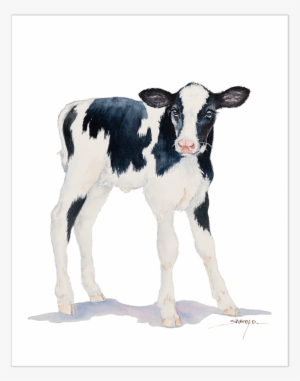Baby Cow Wall Art - Baby Of Cow Png #2492826