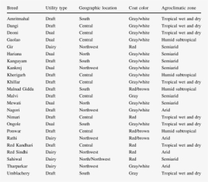 Characteristics Of 23 Indian Zebu Cattle Breeds Included - Zebu #2492963