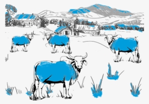 Cows Fed Naturally Grown Food At Our Farm 100% Organic - Dairy Cow #2493142