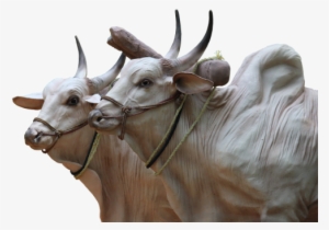 Indian Ox Sculpture #2493463