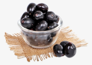 Jamun - Jamun Fruit Vector #2493552