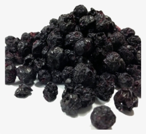 Clip Art Freeuse Stock Pure Mart Dried Blueberries - Dried Blueberries India #2493940