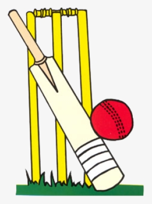 Children Clipart Cricket - Cricket Clip Art #2494738