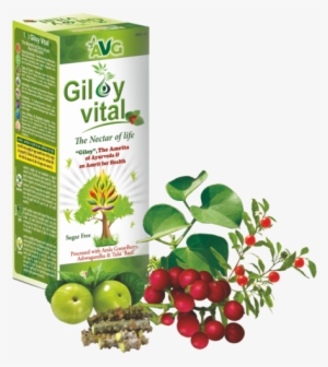 Wonderful Uses Of Neem Karela Jamun And Giloy For Health - Giloy Juice #2494961